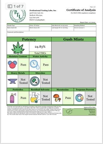 Gush Mintz ~ Premium Thca Flower