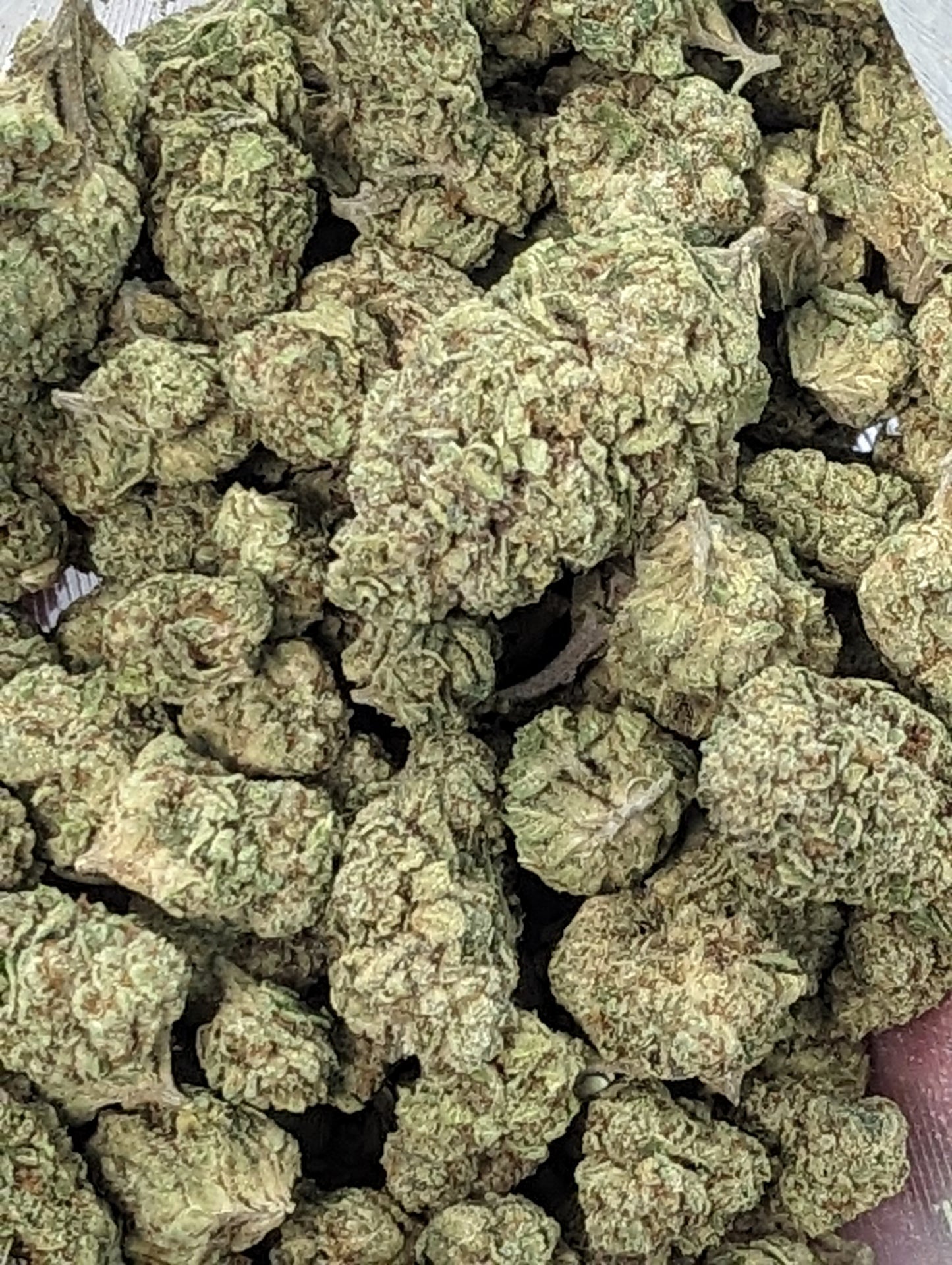 Pink Runtz ~ Premium Thca Flower