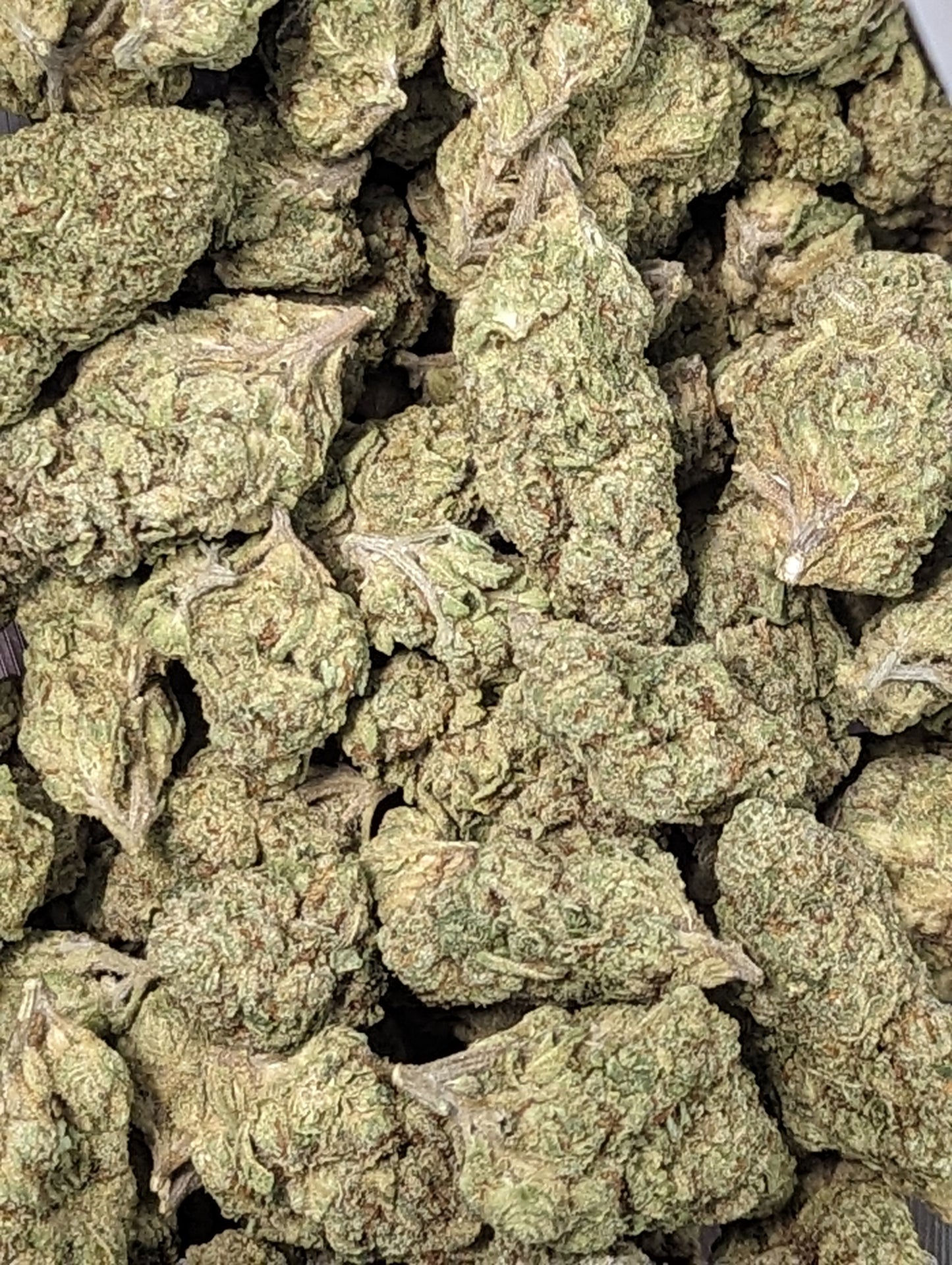 Wedding Crasher ~ Premium Thca Flower