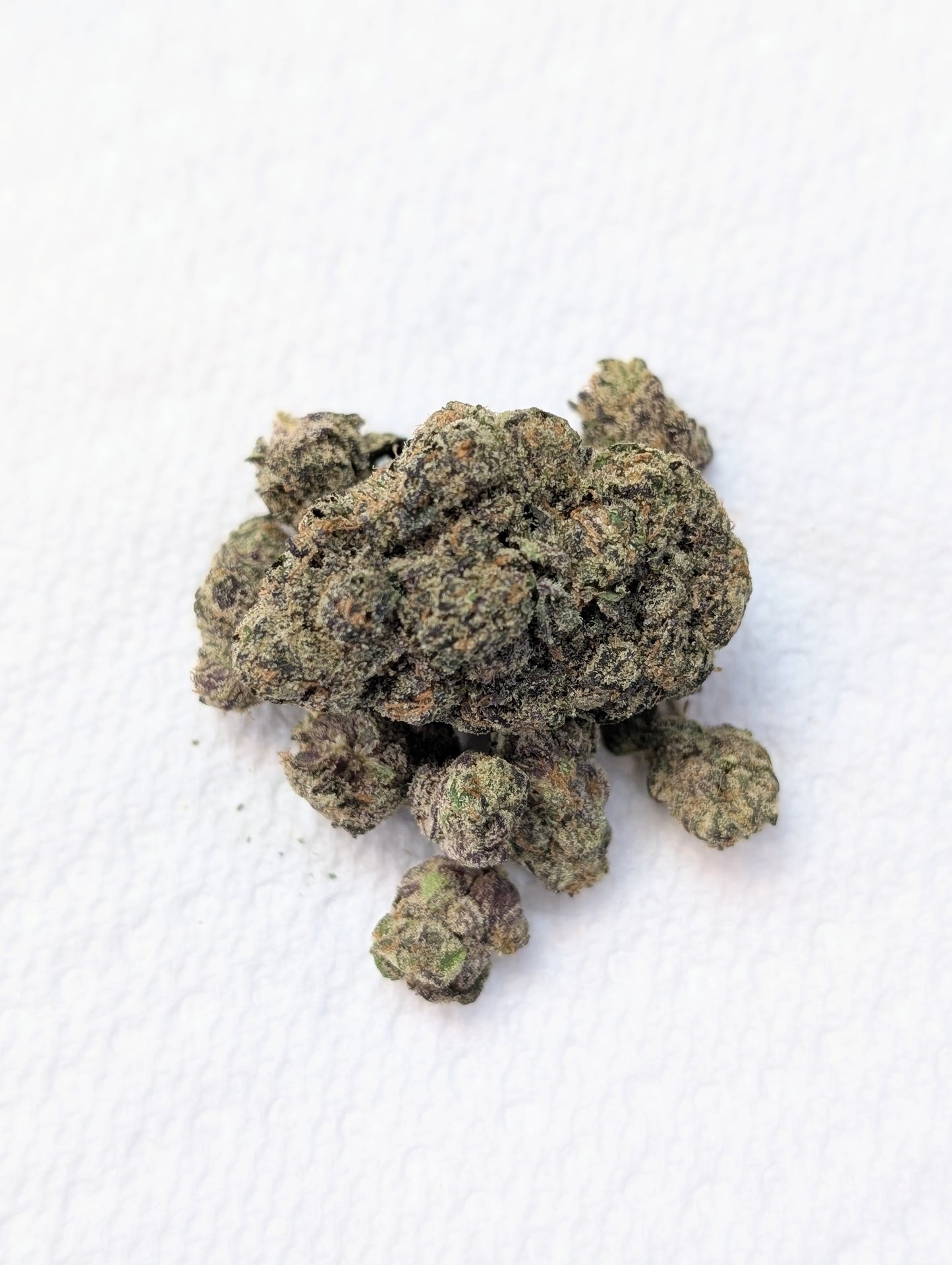 Rainbow Slushie ~ Hemp Thca Flower