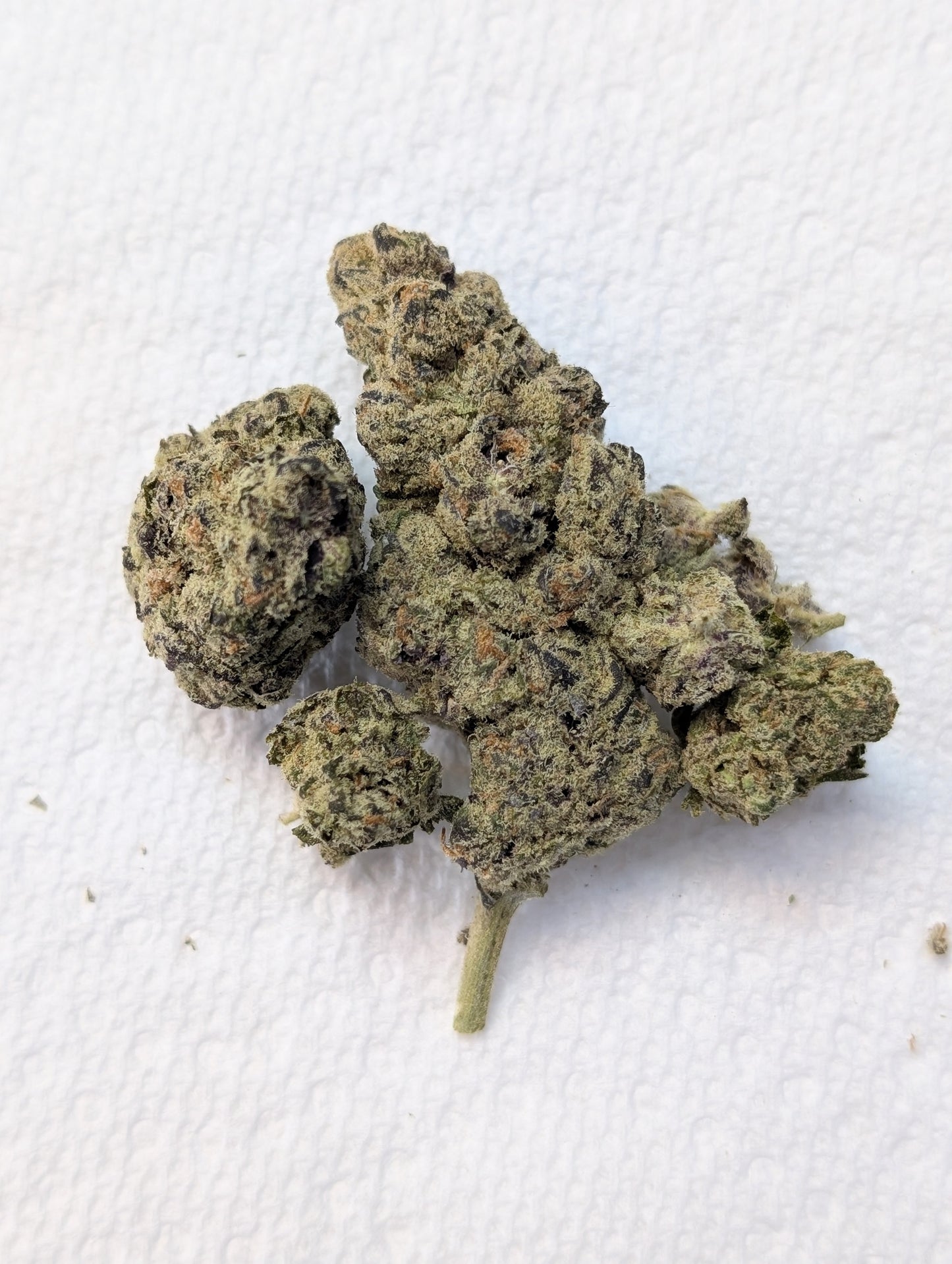 Blemonade ~ Hemp Thca Flower