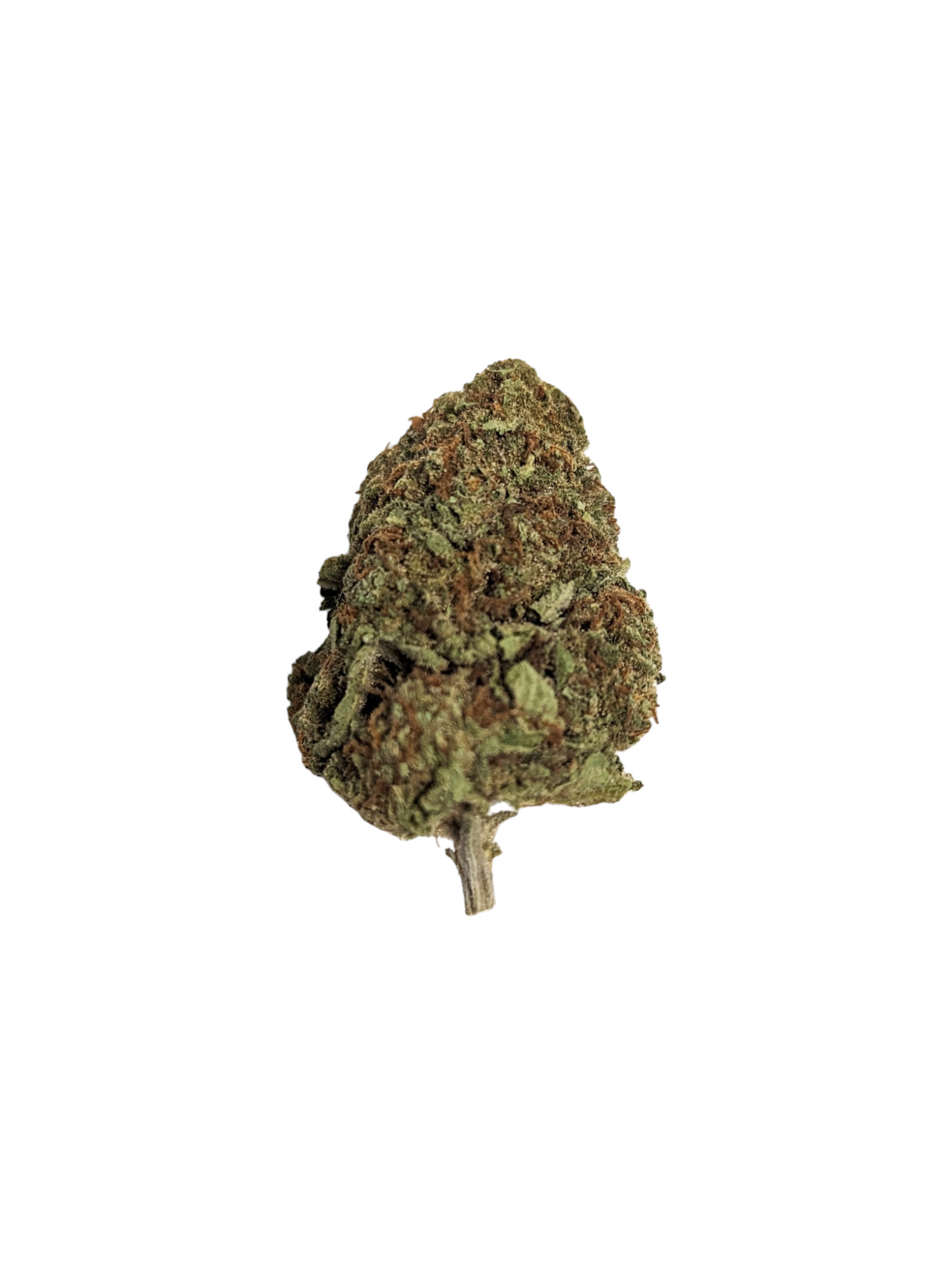 Gush Mintz ~ Premium Thca Flower