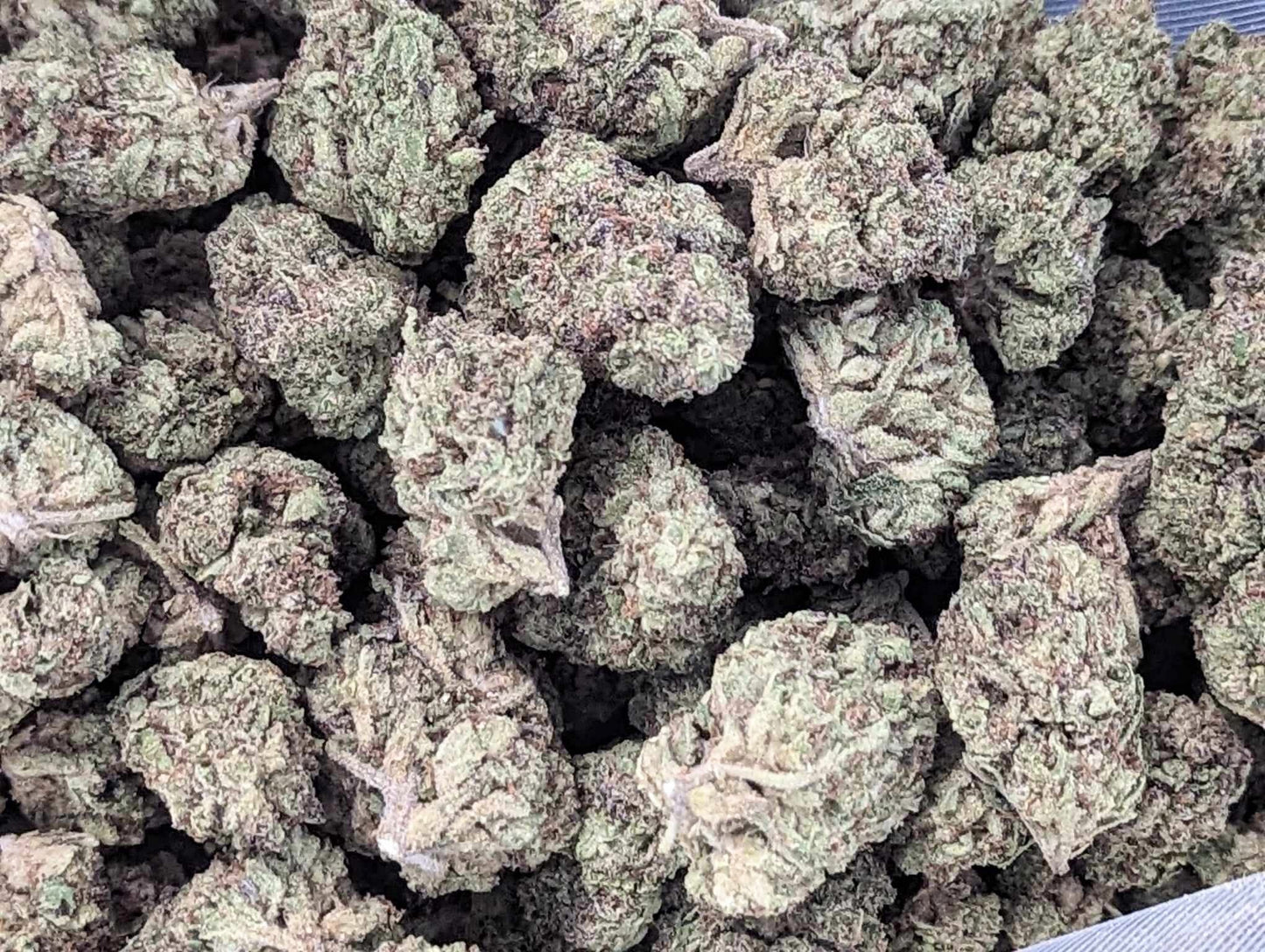 Italian Shoes ~ Premium Thca Flower