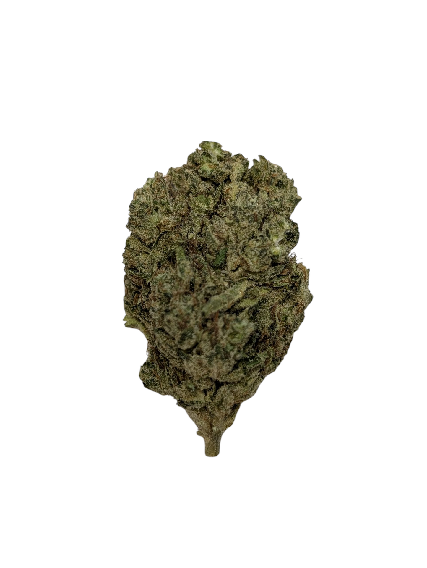 Jelly Roll ~ Hemp THCa Flower