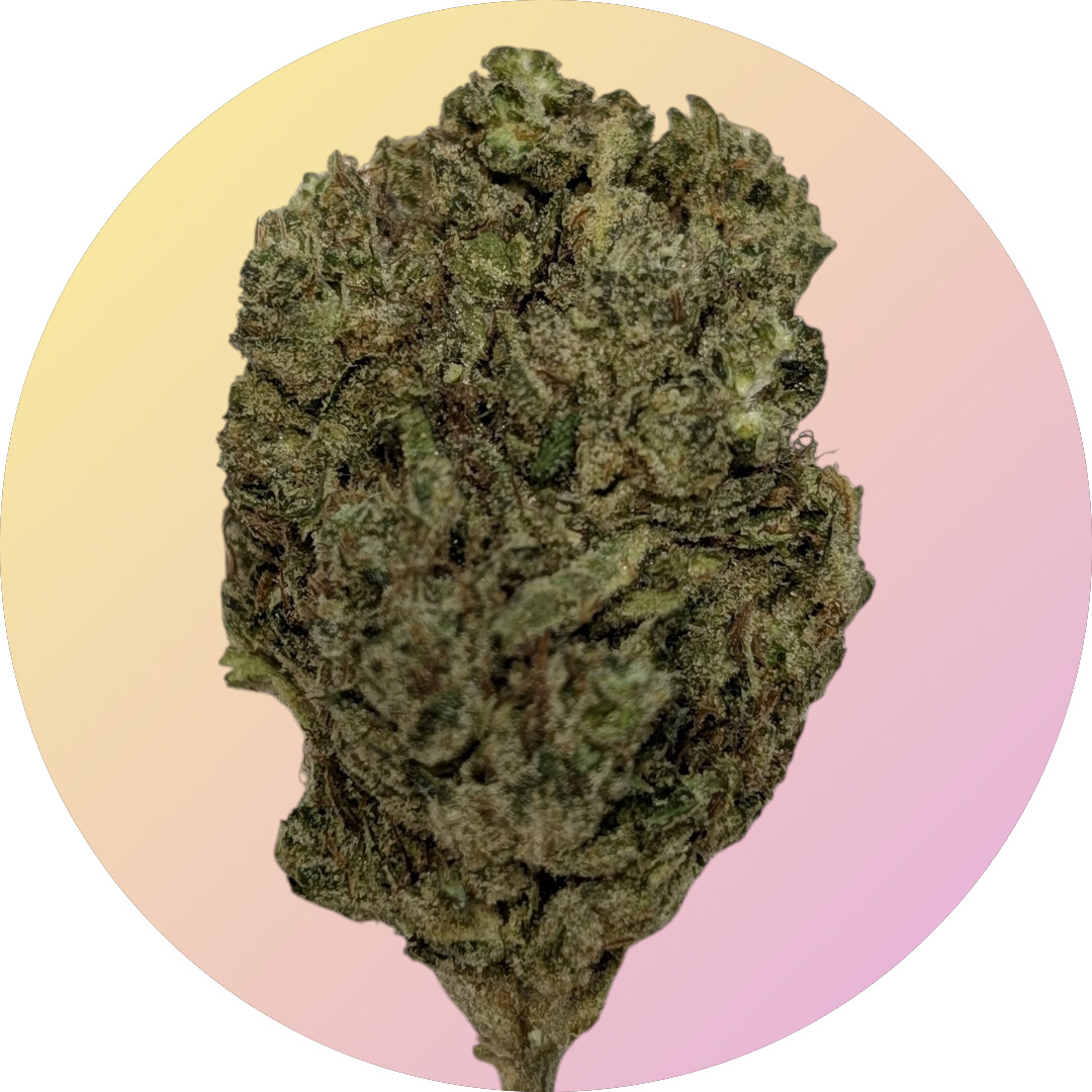 Jelly Roll ~ Hemp THCa Flower