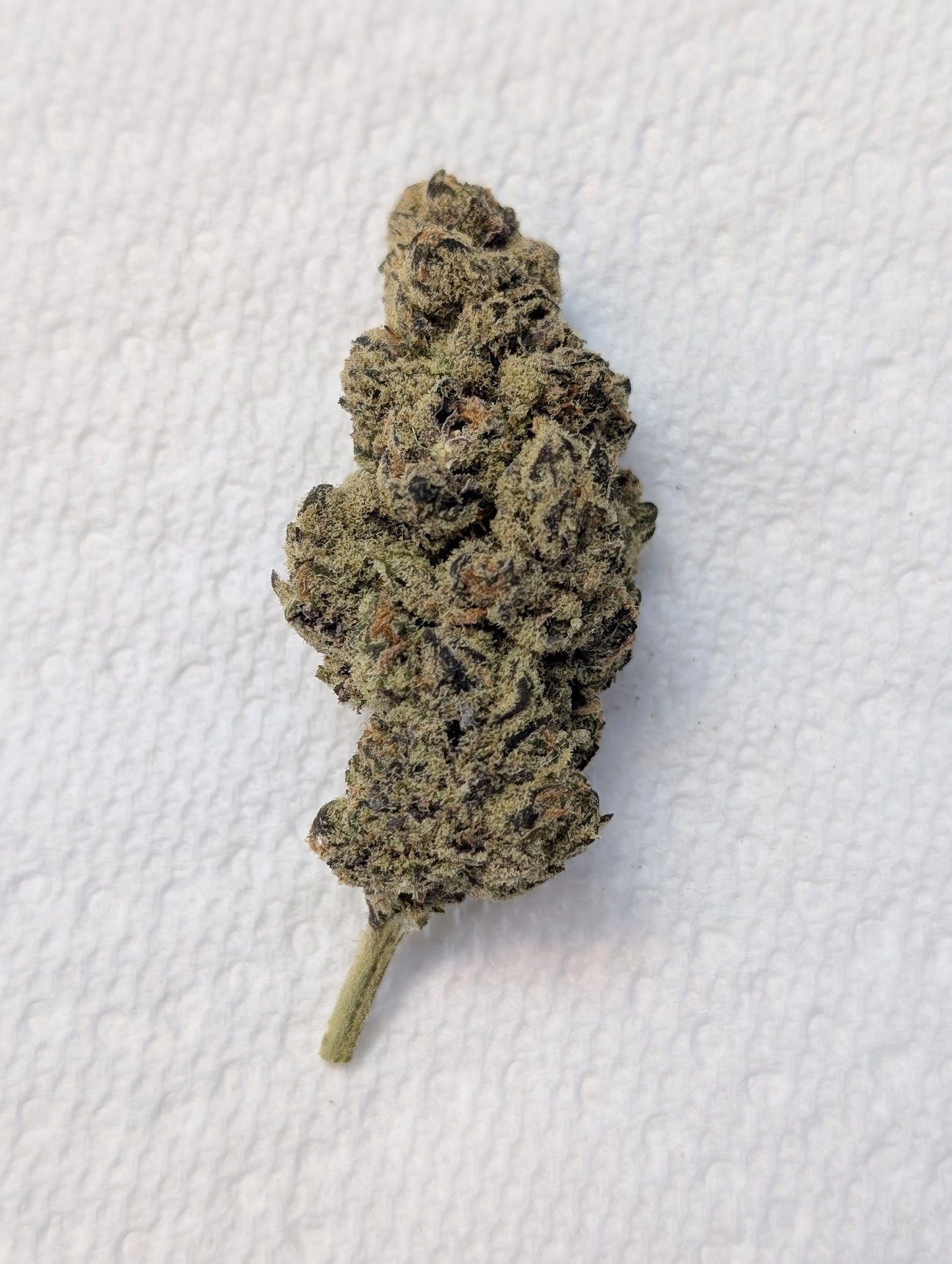 Blemonade ~ Hemp Thca Flower